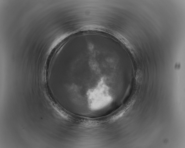 X0000095110877200712301733