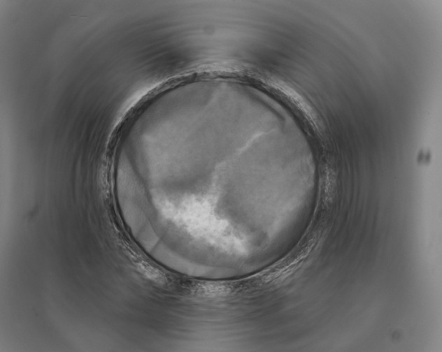 X0000095110878200712301733