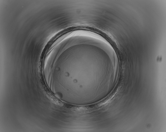 X0000095110879200712301733