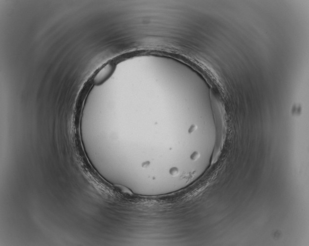 X0000095110880200712301733