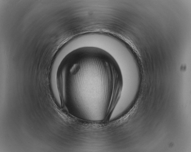 X0000095110881200712301733