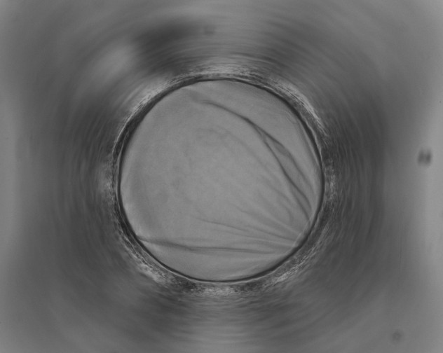 X0000095110882200712301733