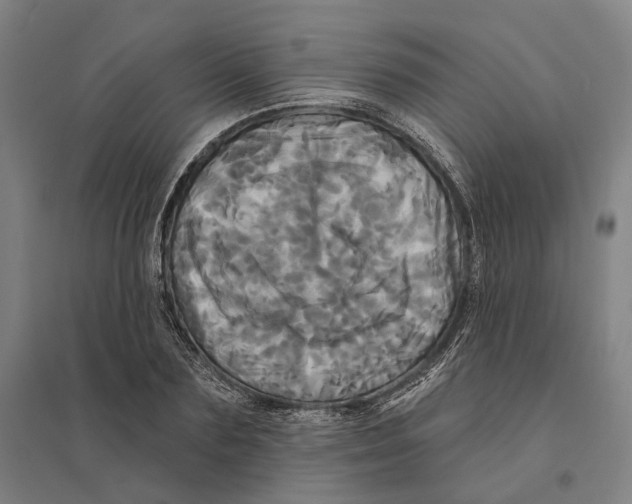 X0000095110883200712301733