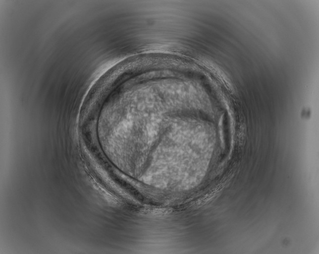 X0000095110884200712301733