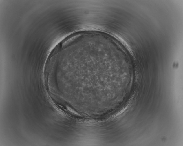 X0000095110885200712301733