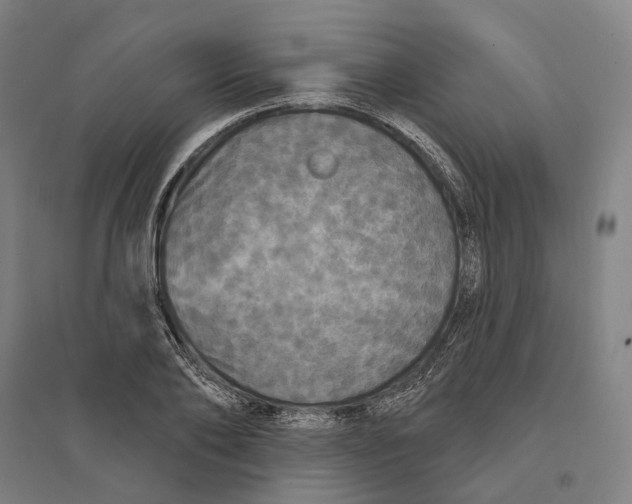 X0000095110886200712301733