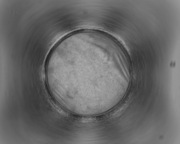 X0000095110887200712301733