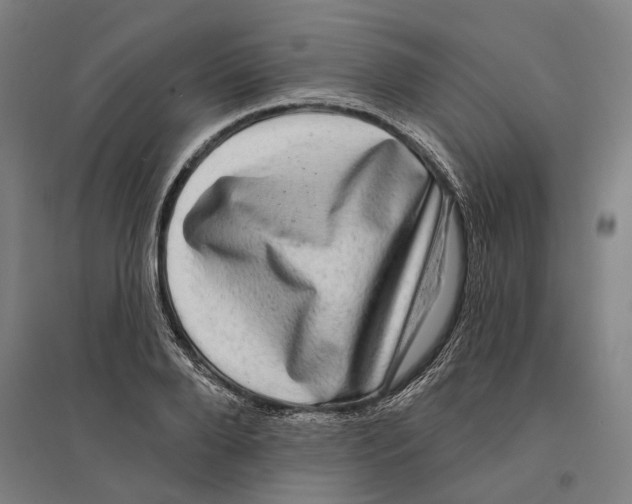 X0000095110888200712301733