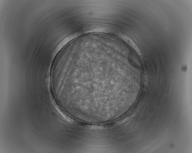 X0000095110890200712301733