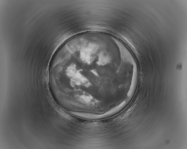 X0000095110891200712301733