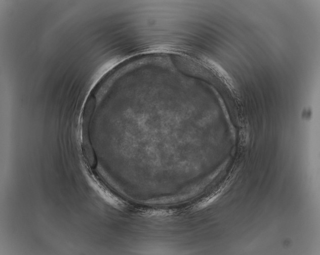 X0000095110892200712301733