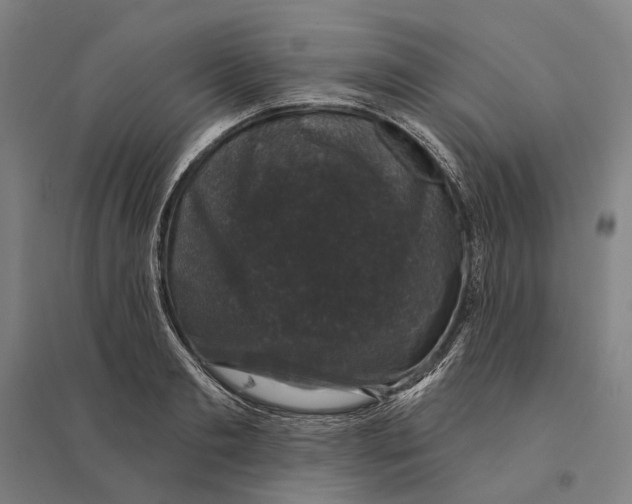 X0000095110893200712301733