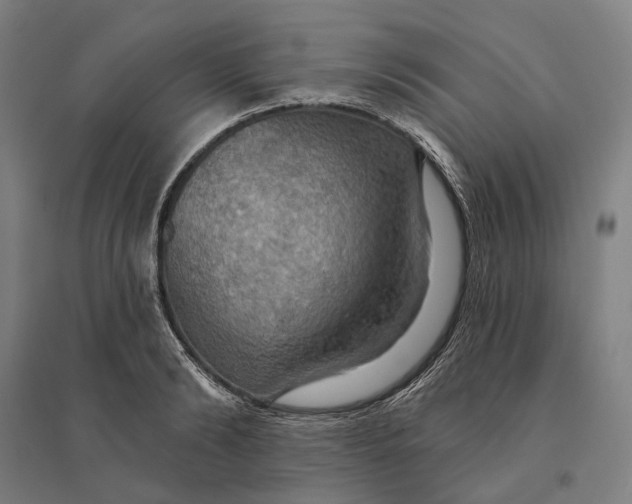 X0000095110894200712301733