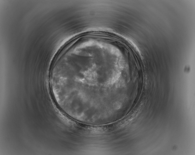 X0000095110895200712301733