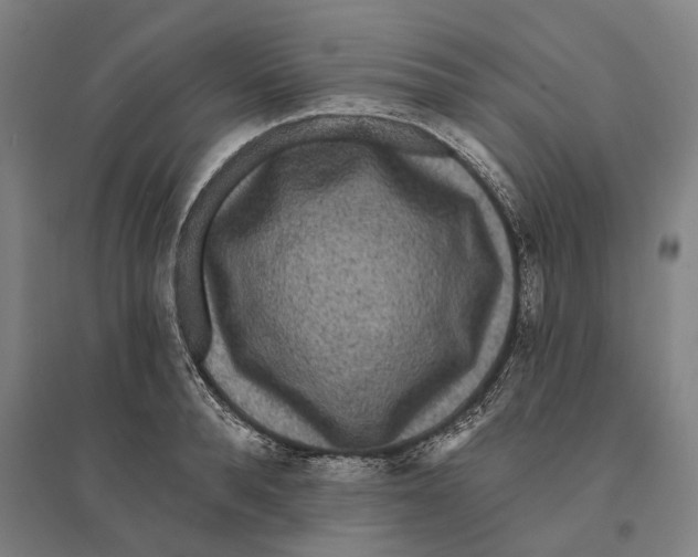 X0000095110896200712301733