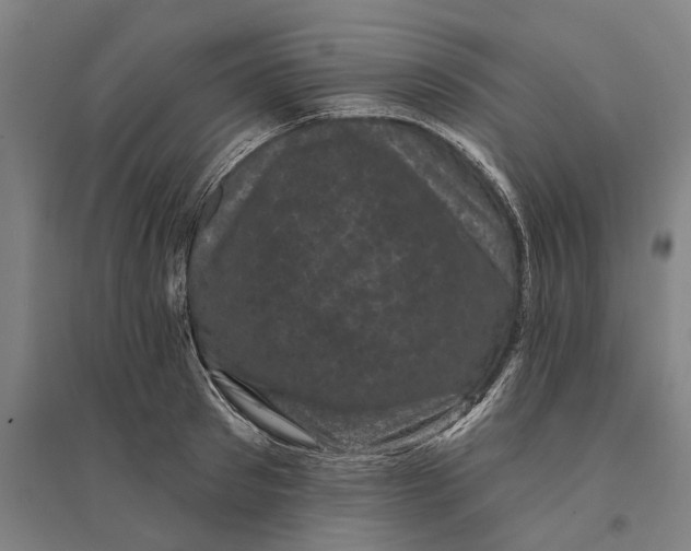 X0000095110897200712301733