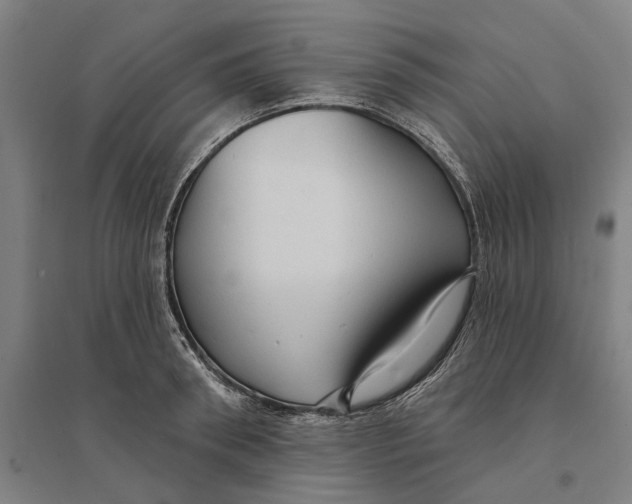 X0000095110898200712301733