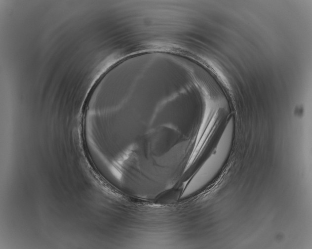 X0000095110899200712301733