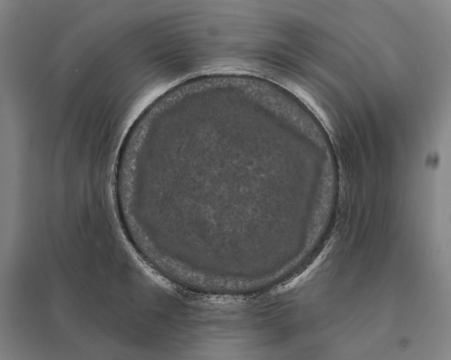 X0000095110901200712301733