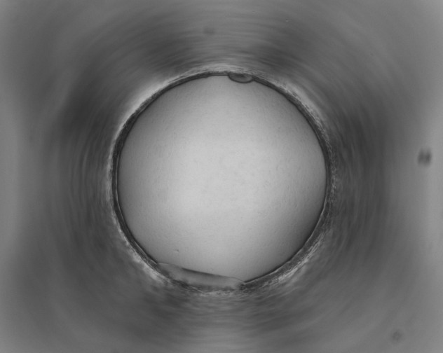 X0000095110902200712301733