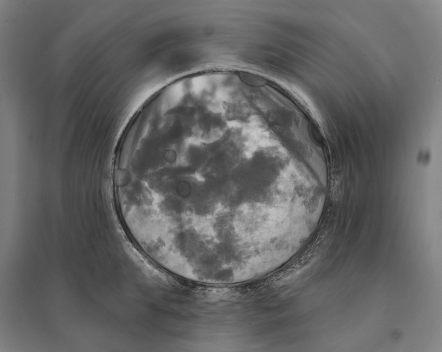 X0000095110903200712301733