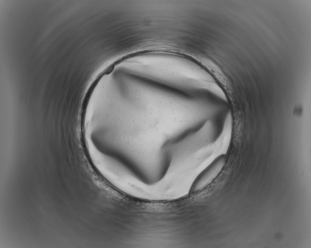 X0000095110904200712301733