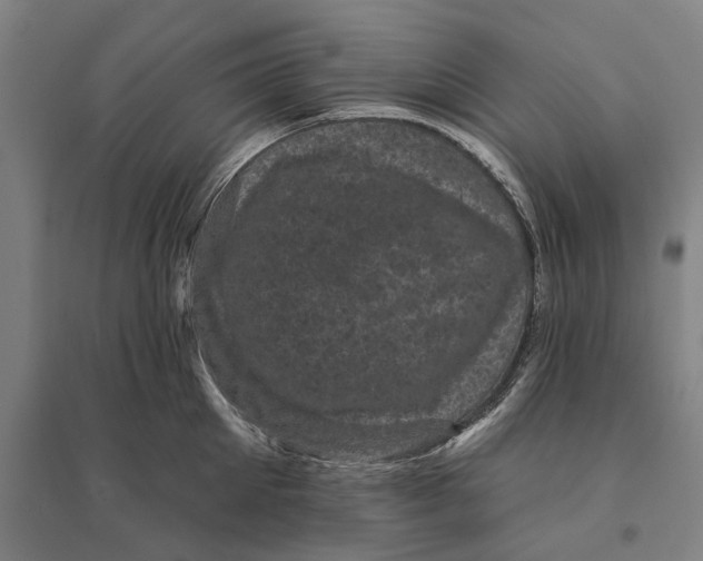 X0000095110905200712301733