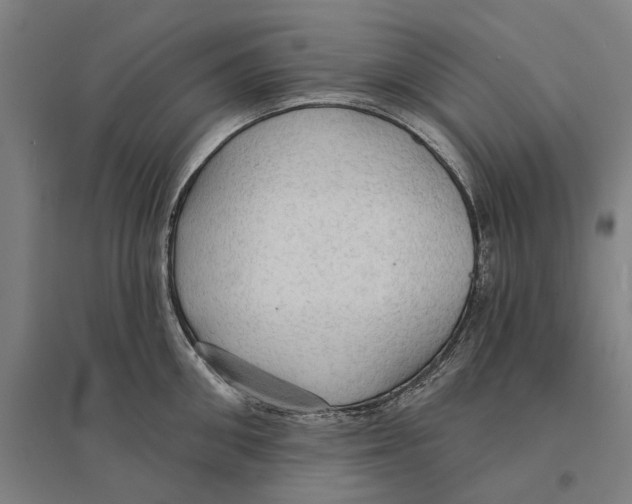 X0000095110906200712301733