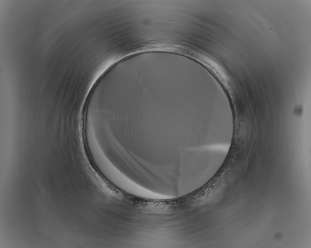 X0000095110907200712301733