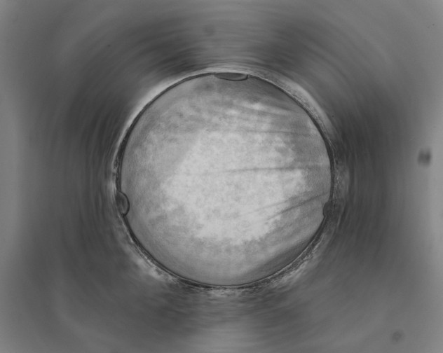 X0000095110908200712301733