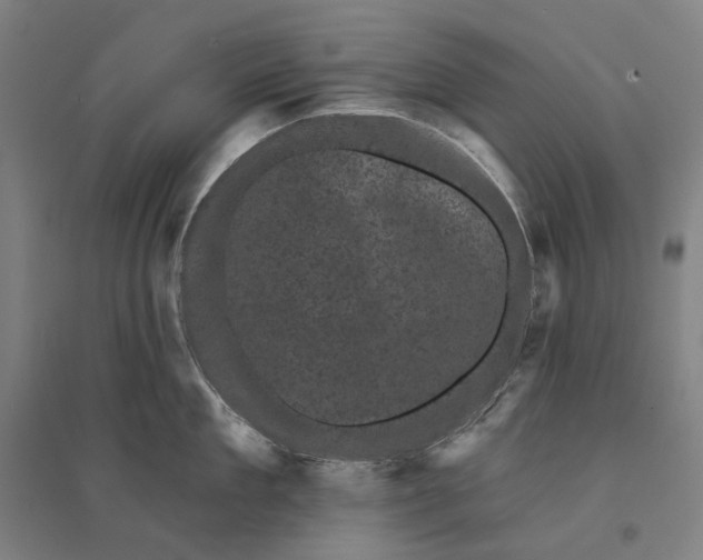 X0000095110909200712301733