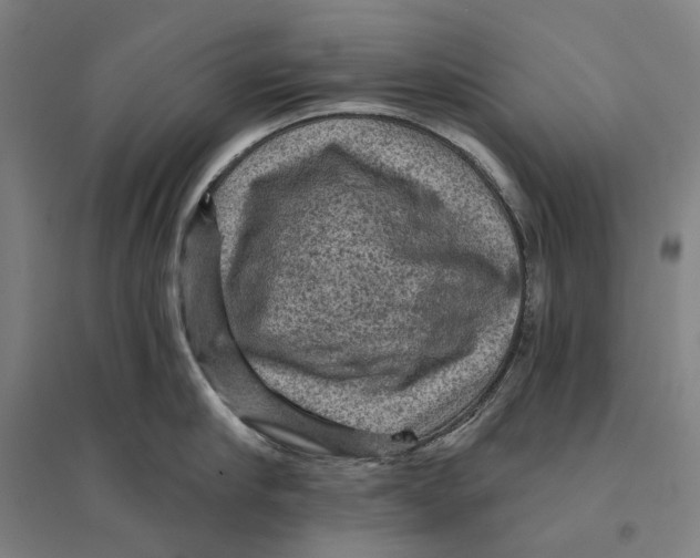 X0000095110910200712301733