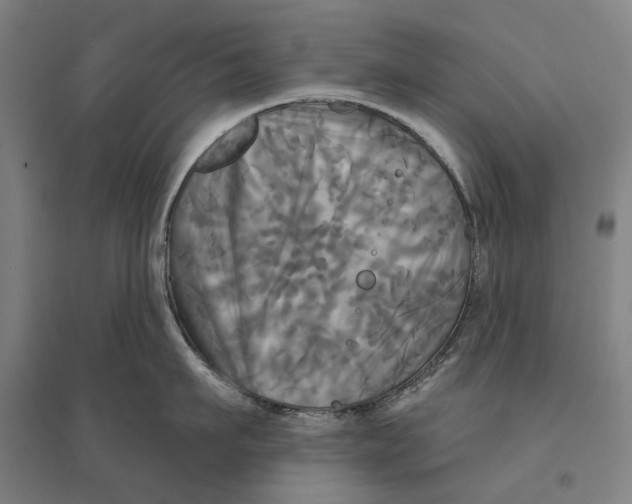 X0000095110911200712301733