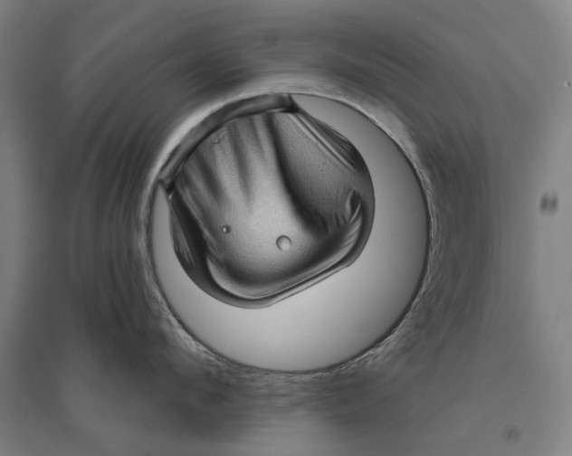 X0000095110912200712301733