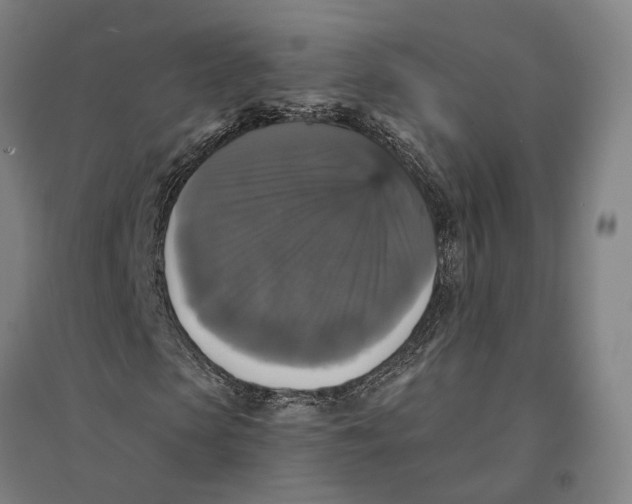 X0000095110913200712301732