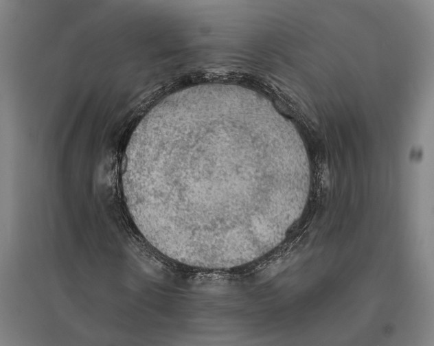 X0000095110914200712301732