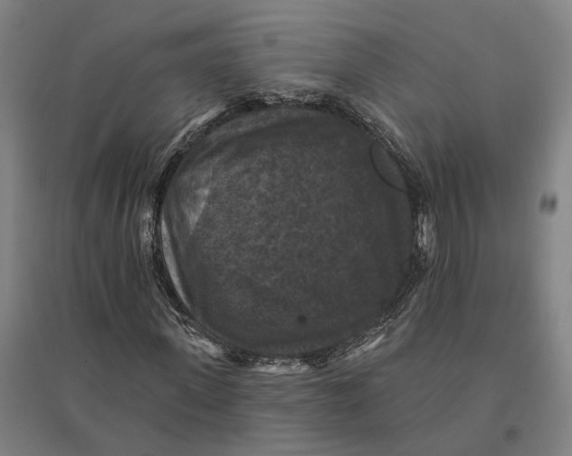 X0000095110915200712301732