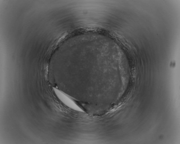 X0000095110916200712301732