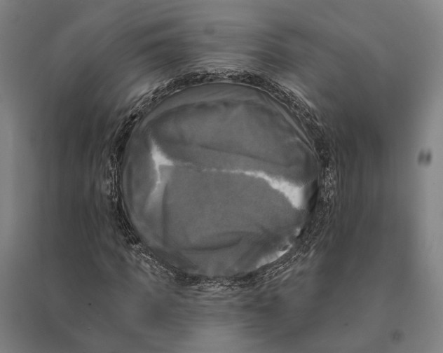 X0000095110917200712301732