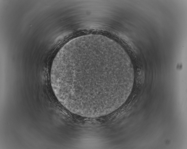 X0000095110918200712301732