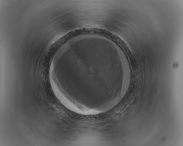 X0000095110919200712301732