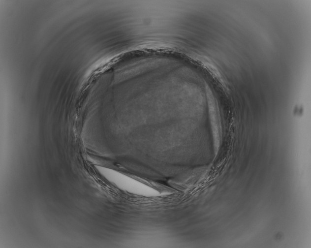 X0000095110920200712301732