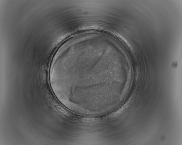 X0000095110921200712301732