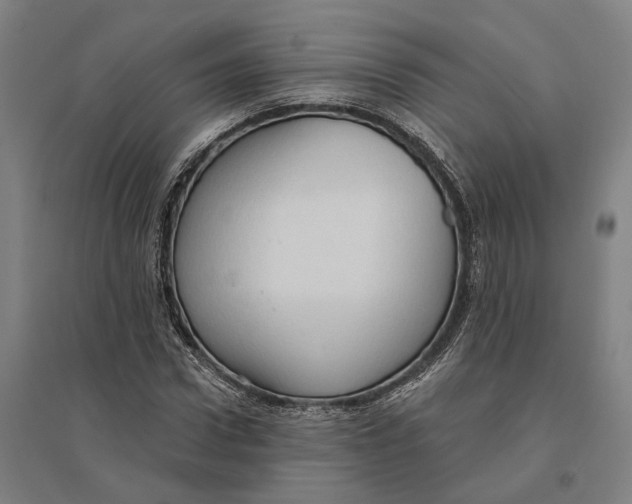 X0000095110922200712301732