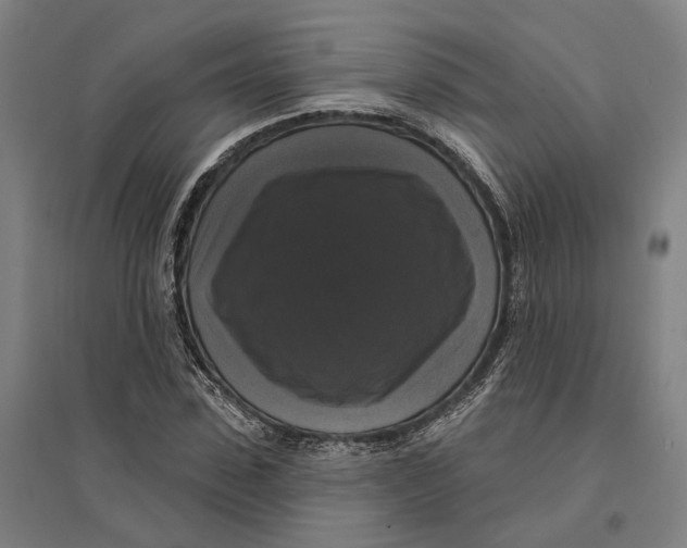 X0000095110923200712301732