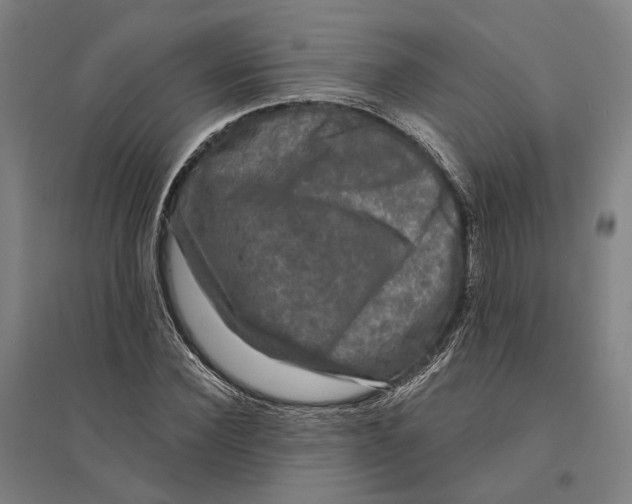 X0000095110924200712301732