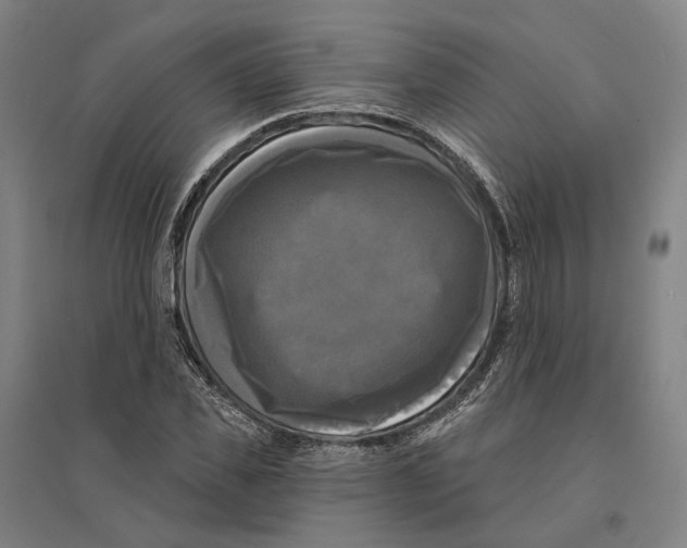 X0000095110925200712301732