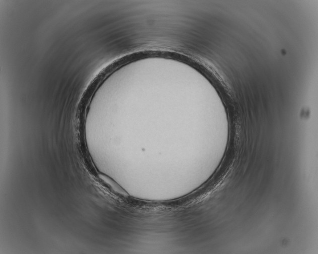 X0000095110926200712301732