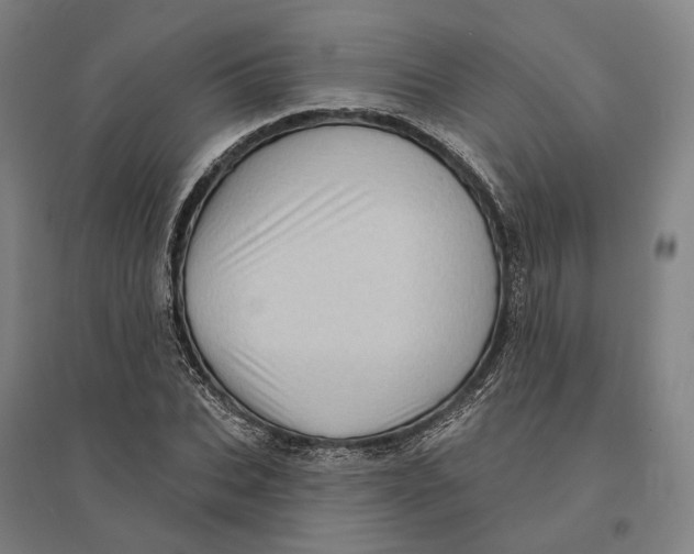 X0000095110927200712301732