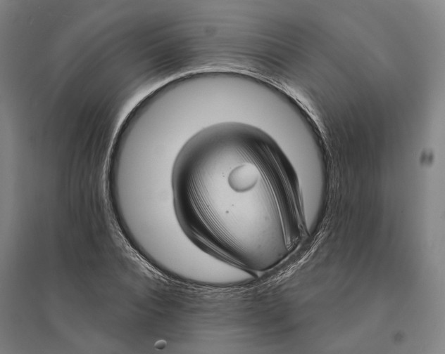 X0000095110928200712301732